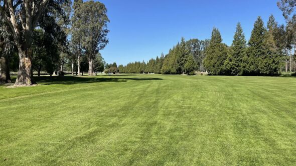 Dipton Golf Club