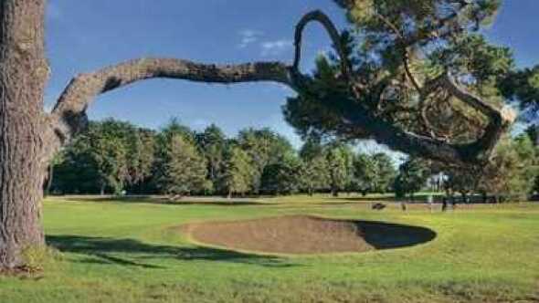 Gisborne Park Golf Club