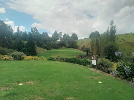 Lower Waitaki Golf Club