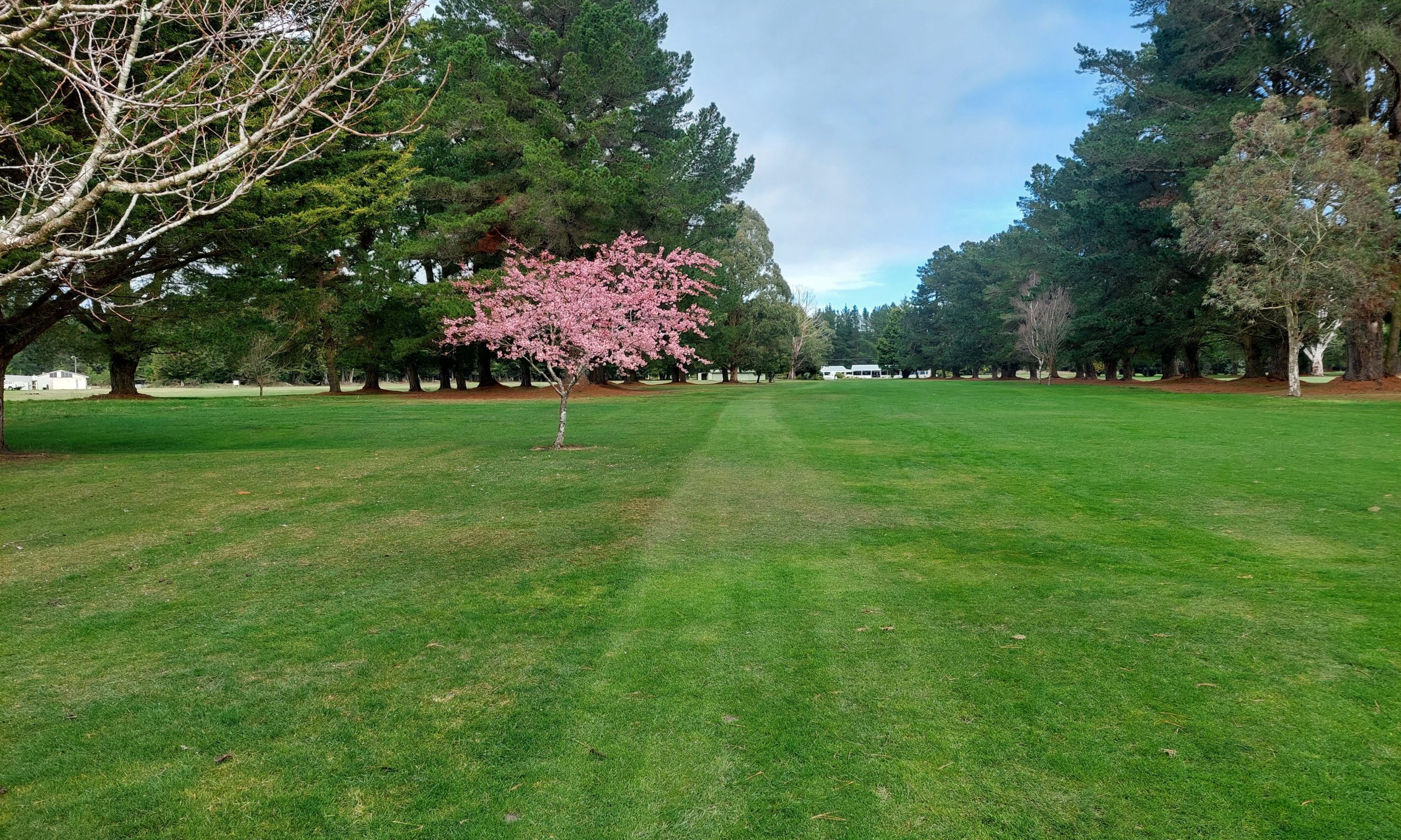 McLeans Island Golf Club