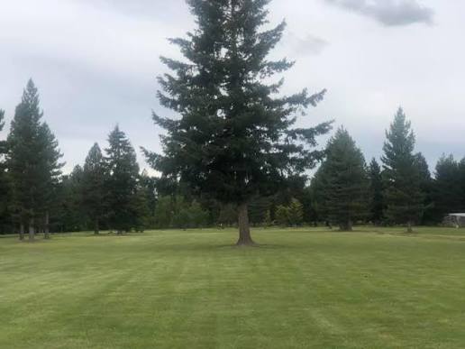 Naseby Golf Club