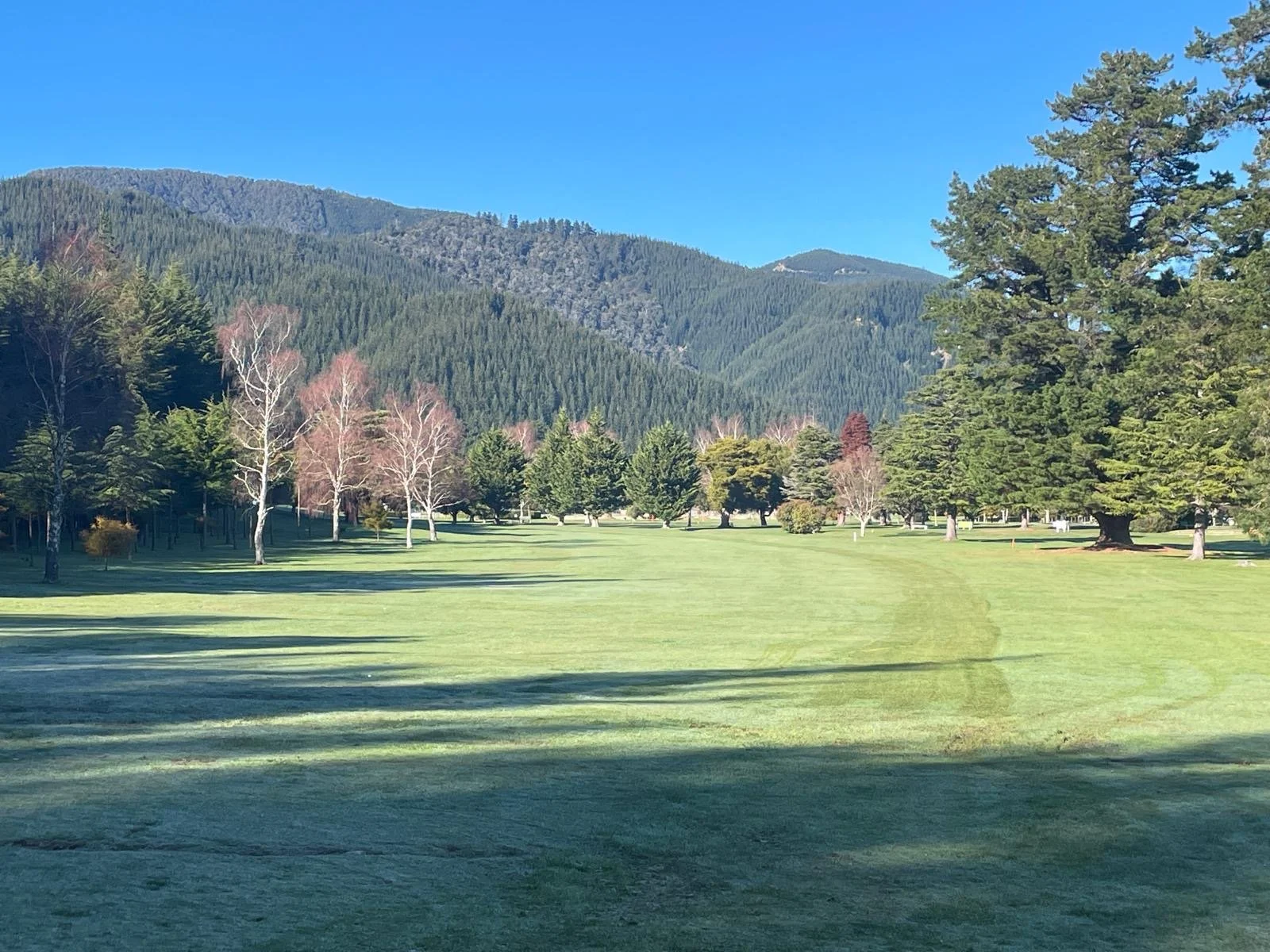 Picton Golf Club