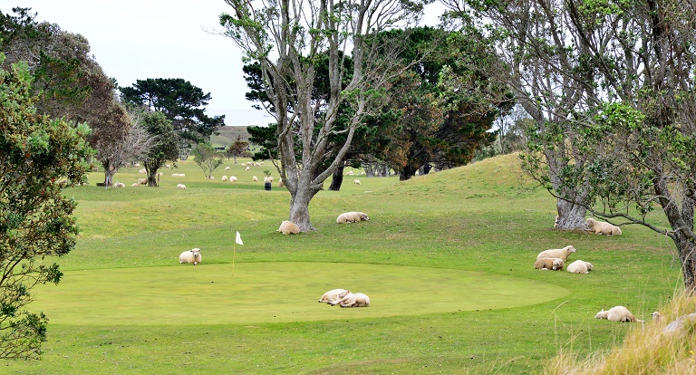 Pungarehu Golf Club