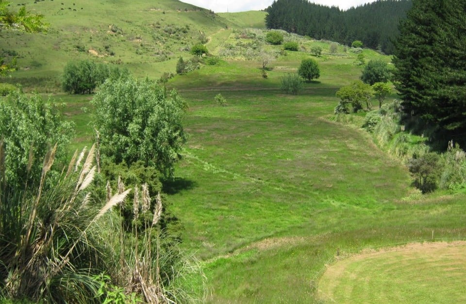 Rawene Golf Club