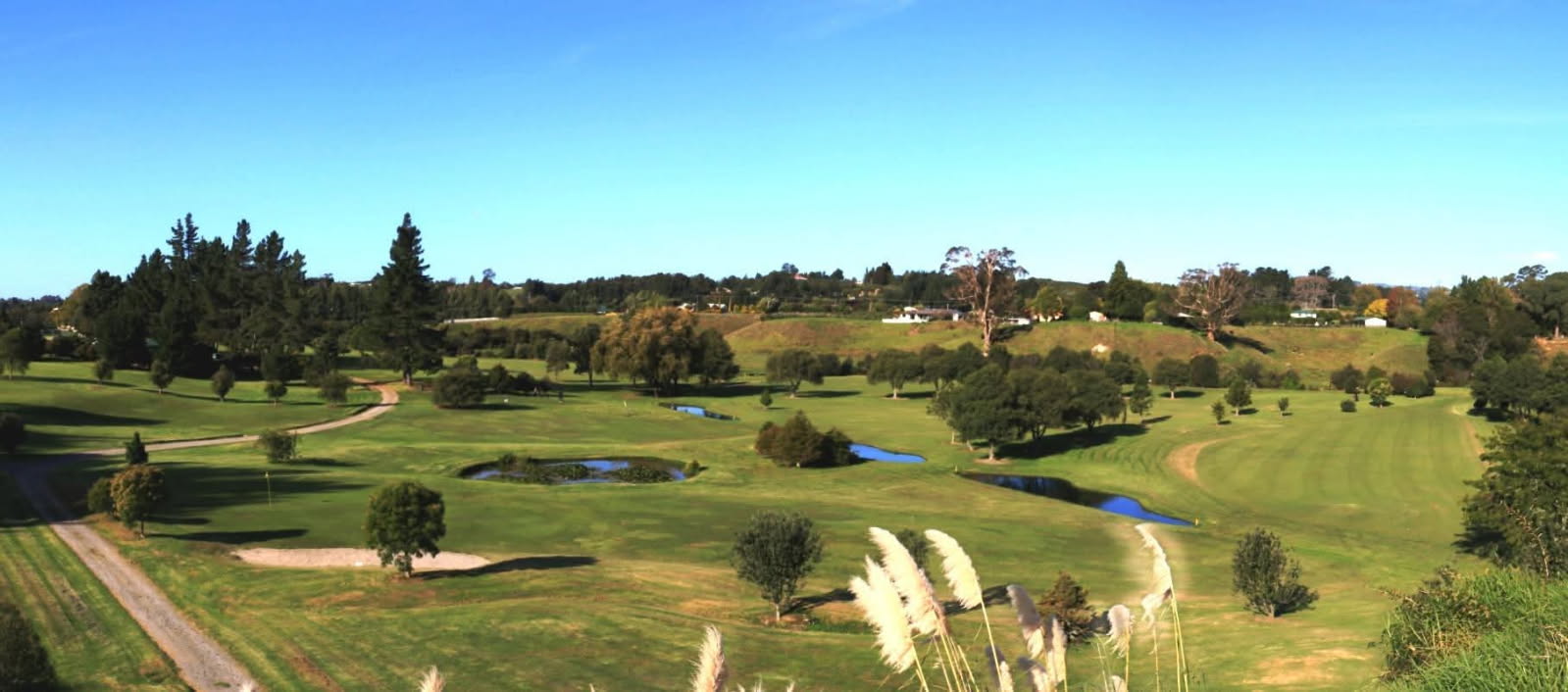 Renner Park Golf Club