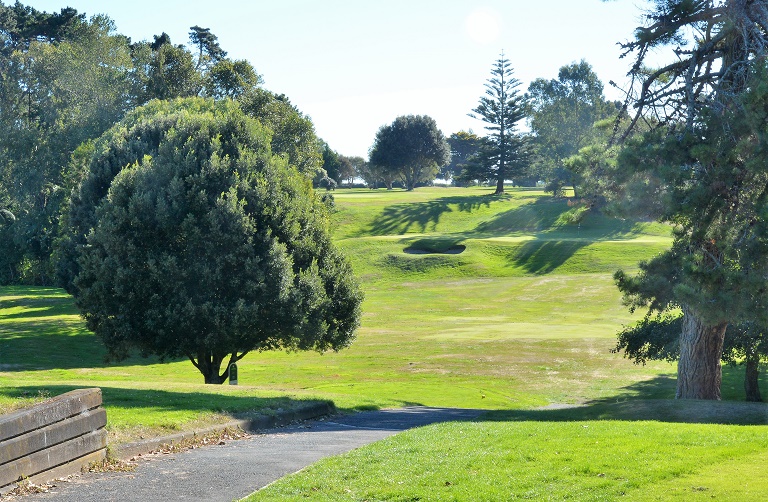 Te Ngutu Golf Club
