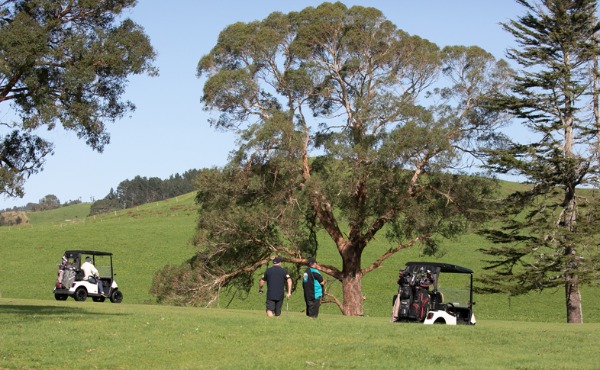 Waihi Golf Club